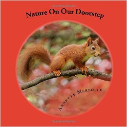 Nature On Our Doorstep