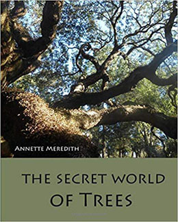 The Secret World of Trees